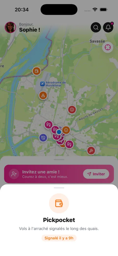 Détail d'un signalement dans Run Pink : pickpocket, signalé il y a 9 heures